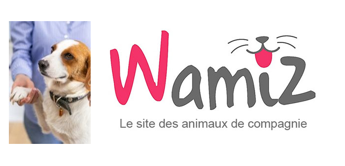 Fiche métier animateur animatrice en médiation animale wamiz.com